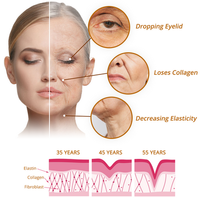 (🔥LAST DAY SALE-80% OFF) Insideefy™ Cordyceps Firming Repair Serum